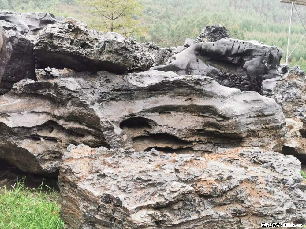 风景石、假山石大量有货，有需要的欢迎联系 - 新手上路 - 石嘴山生活社区 - 石嘴山28生活网 szs.28life.net