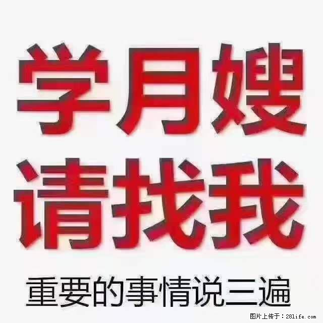 为什么要学习月嫂，育婴师？ - 其他广告 - 广告专区 - 石嘴山分类信息 - 石嘴山28生活网 szs.28life.net