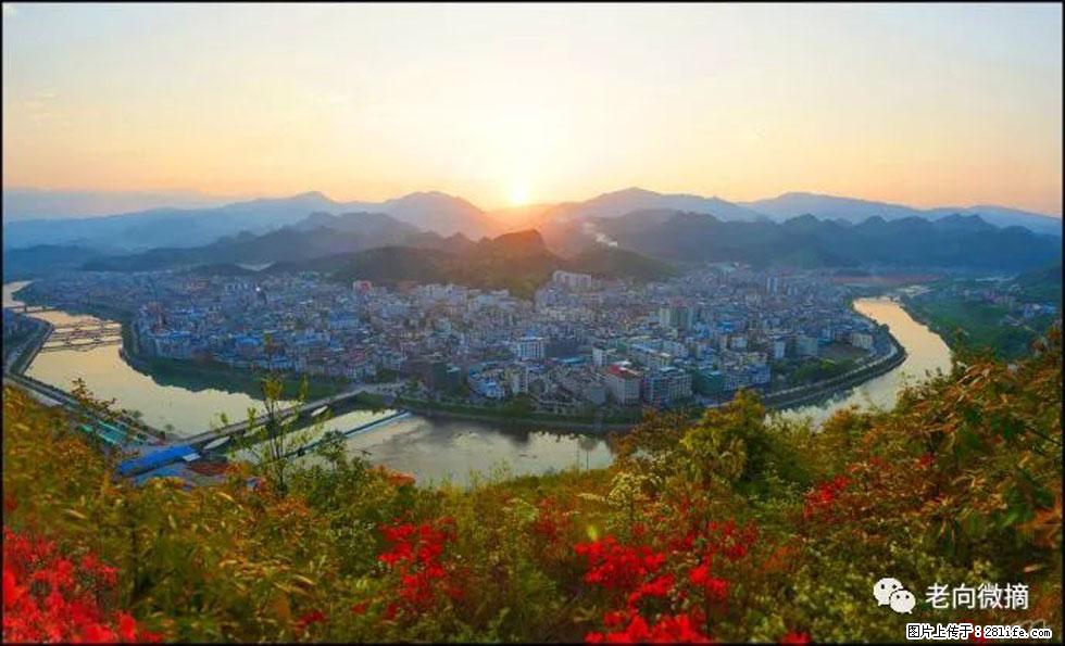 【春天，广西桂林灌阳县向您发出邀请！】登麒麟山，相约映山红 - 游山玩水 - 石嘴山生活社区 - 石嘴山28生活网 szs.28life.net