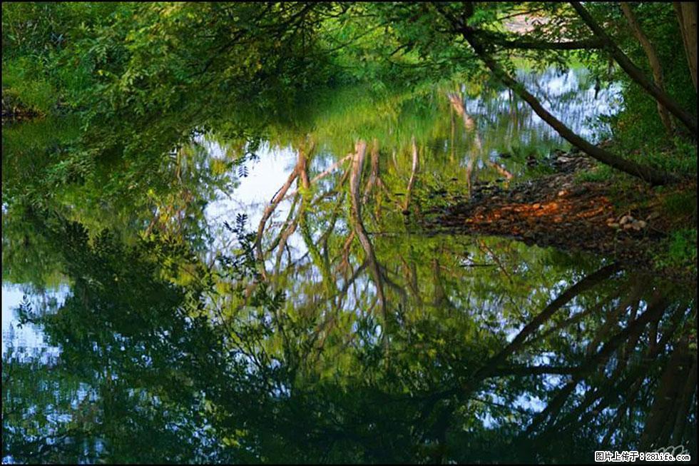 【春天，广西桂林灌阳县向您发出邀请！】熊家寨湿地公园 - 游山玩水 - 石嘴山生活社区 - 石嘴山28生活网 szs.28life.net