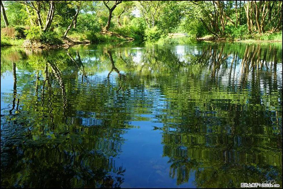 【春天，广西桂林灌阳县向您发出邀请！】熊家寨湿地公园 - 游山玩水 - 石嘴山生活社区 - 石嘴山28生活网 szs.28life.net