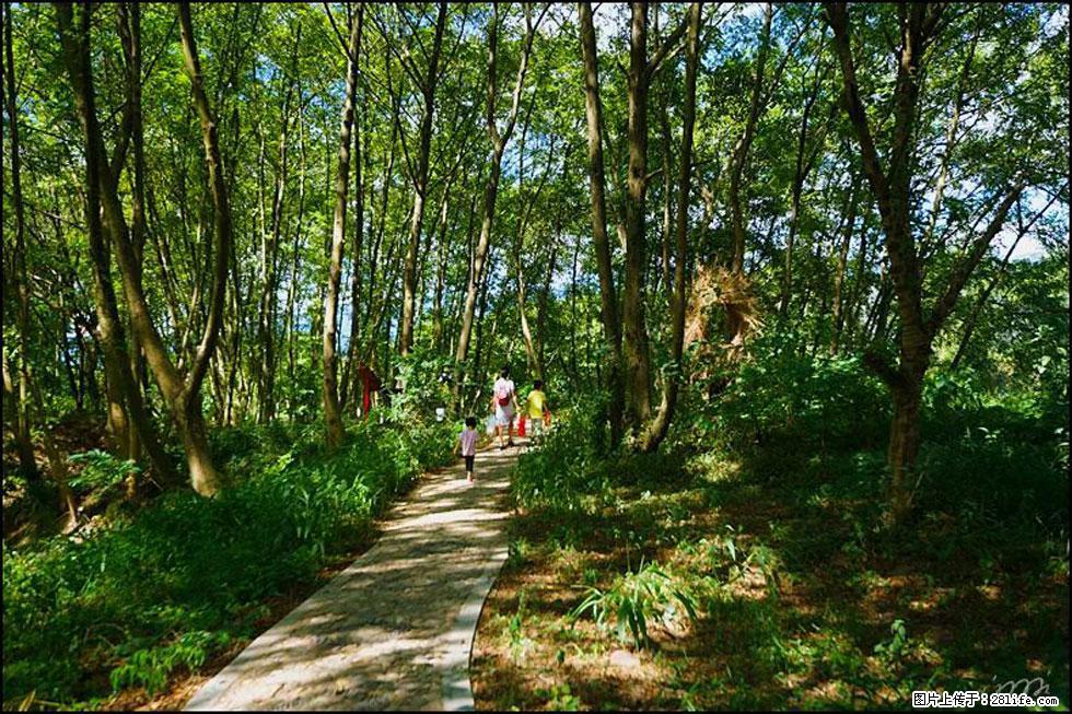 【春天，广西桂林灌阳县向您发出邀请！】熊家寨湿地公园 - 游山玩水 - 石嘴山生活社区 - 石嘴山28生活网 szs.28life.net