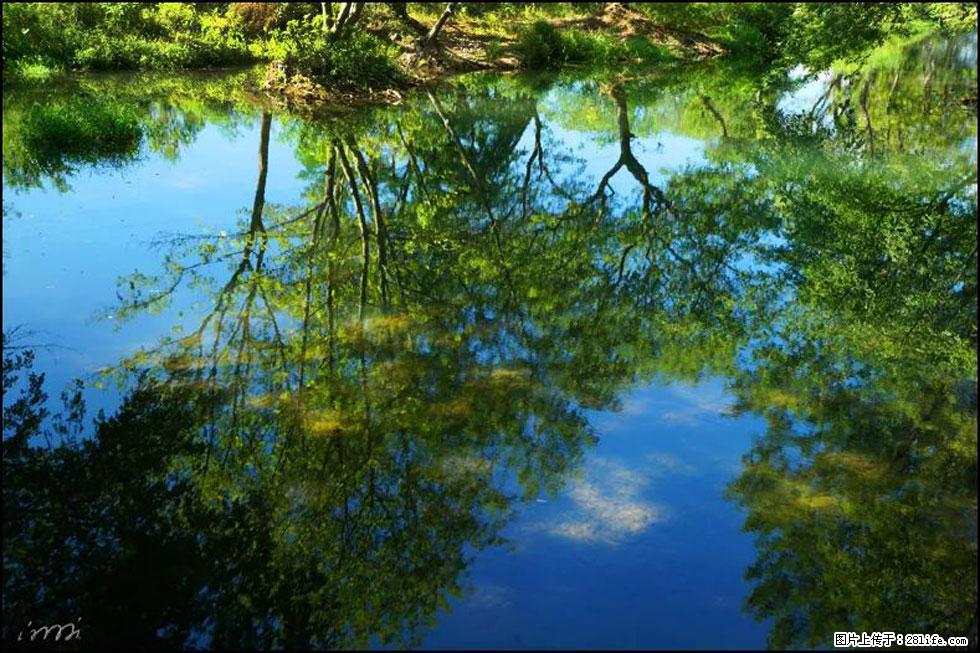【春天，广西桂林灌阳县向您发出邀请！】熊家寨湿地公园 - 游山玩水 - 石嘴山生活社区 - 石嘴山28生活网 szs.28life.net
