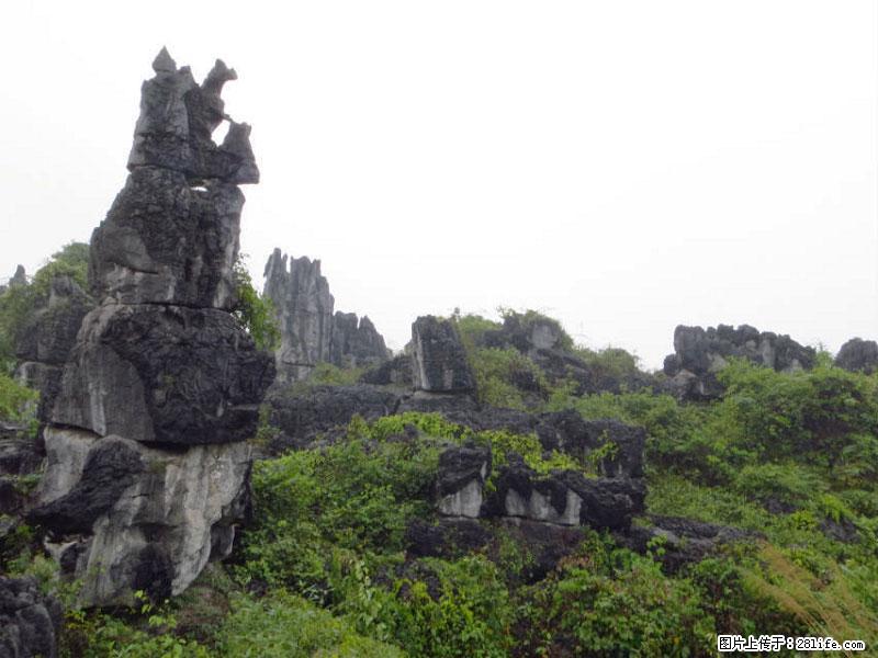 桂林旅游名城景点：灌阳文市石林 - 游山玩水 - 石嘴山生活社区 - 石嘴山28生活网 szs.28life.net