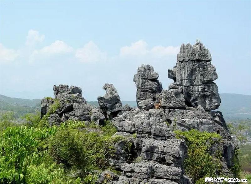 桂林旅游名城景点：灌阳文市石林 - 游山玩水 - 石嘴山生活社区 - 石嘴山28生活网 szs.28life.net