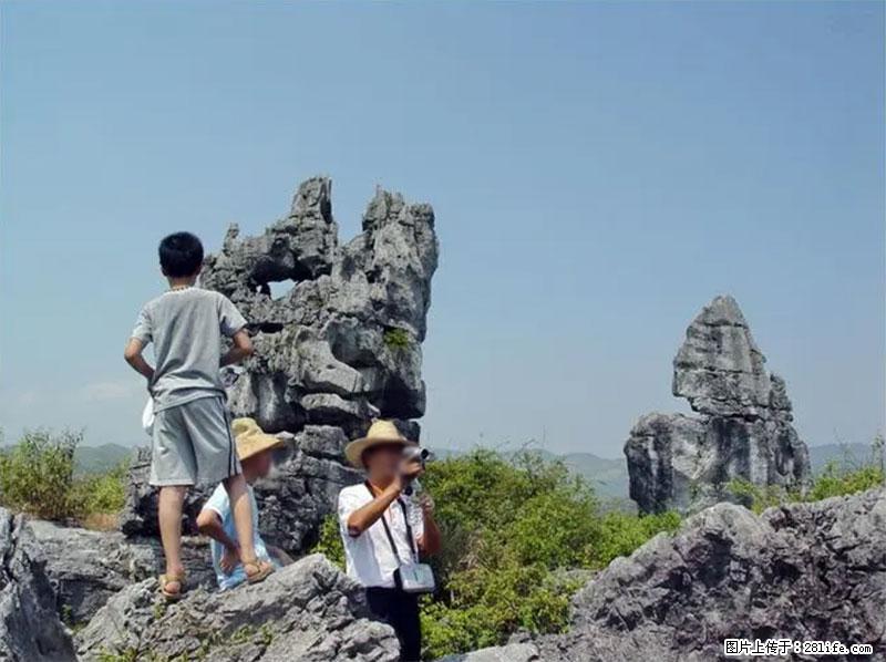 桂林旅游名城景点：灌阳文市石林 - 游山玩水 - 石嘴山生活社区 - 石嘴山28生活网 szs.28life.net