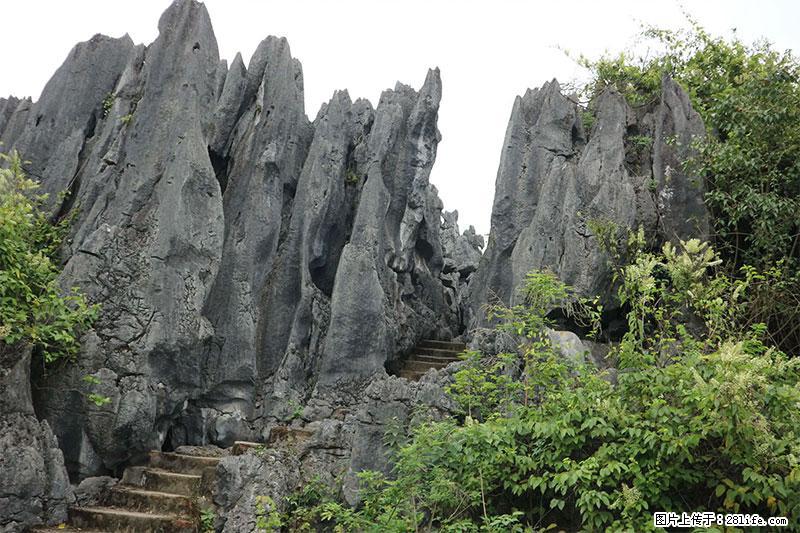 桂林旅游名城景点：灌阳文市石林 - 游山玩水 - 石嘴山生活社区 - 石嘴山28生活网 szs.28life.net