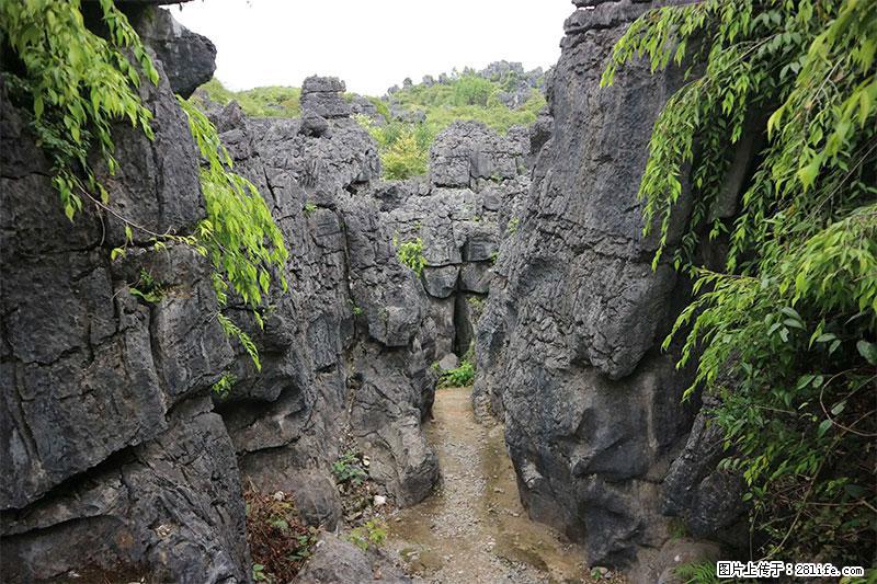 桂林旅游名城景点：灌阳文市石林 - 游山玩水 - 石嘴山生活社区 - 石嘴山28生活网 szs.28life.net