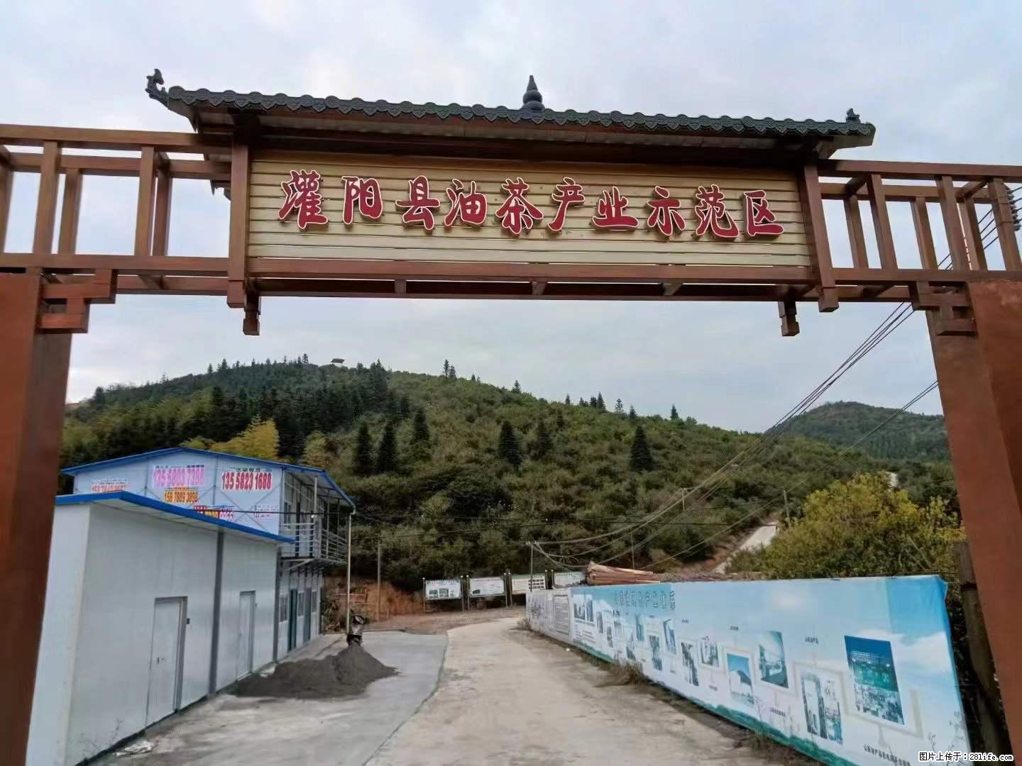 【灌阳县油茶产业示范区】一个有着充实的精神生活的人，对待身外之物自会有一种淡泊的态度 - 土特产 - 饮食特产 - 石嘴山分类信息 - 石嘴山28生活网 szs.28life.net