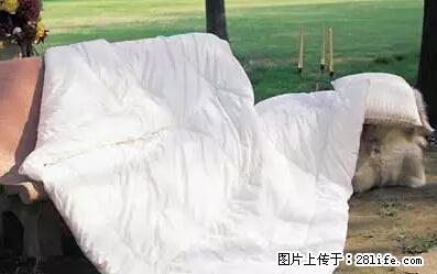 被子有异味？只要这样做，比晒太阳还强100倍！ - 家居生活 - 石嘴山生活社区 - 石嘴山28生活网 szs.28life.net