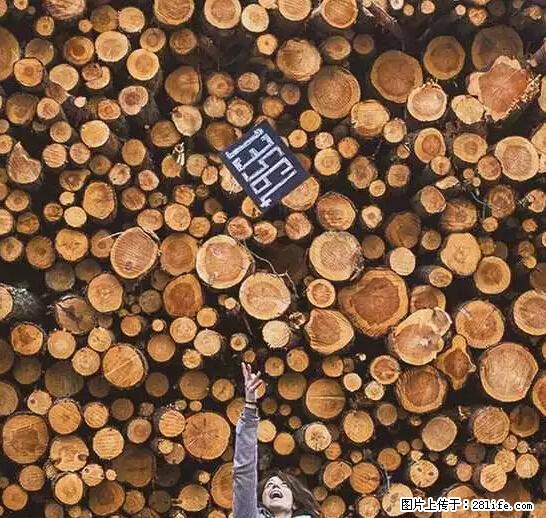 辞掉工作周游世界？现在他们在洗厕所…… - 游山玩水 - 石嘴山生活社区 - 石嘴山28生活网 szs.28life.net