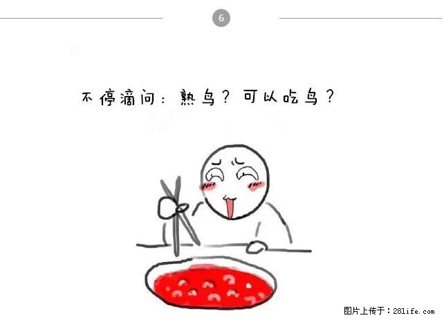 千万不要和这9种哈卵一起吃火锅！ - 美食天地 - 石嘴山生活社区 - 石嘴山28生活网 szs.28life.net