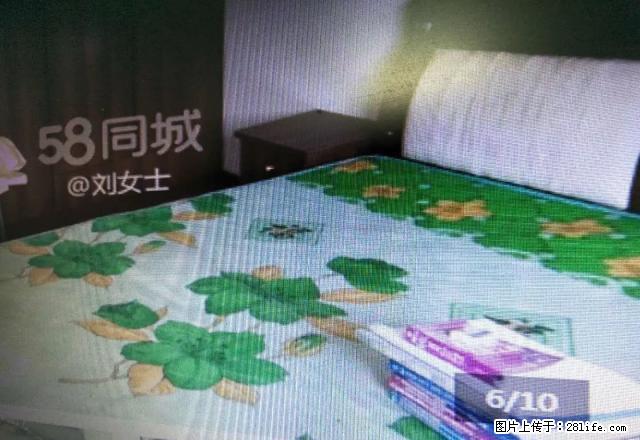 怡心花园好房出租，五楼不热，上面有斜坡。 - 房屋出租 - 房屋租售 - 石嘴山分类信息 - 石嘴山28生活网 szs.28life.net