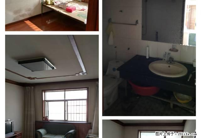 移动公司旁 朝晖胡同 5楼住房出租 设施齐全，干净整洁 - 房屋出租 - 房屋租售 - 石嘴山分类信息 - 石嘴山28生活网 szs.28life.net