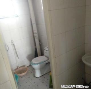 民生小区经典2大居，简单装修，拎包入住 - 石嘴山28生活网 szs.28life.net