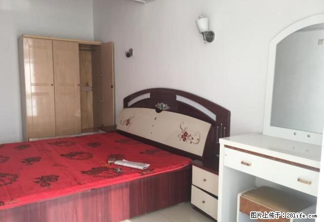 红柱子街附近文安小区、禹欣花园、兴隆源 - 房屋出租 - 房屋租售 - 石嘴山分类信息 - 石嘴山28生活网 szs.28life.net