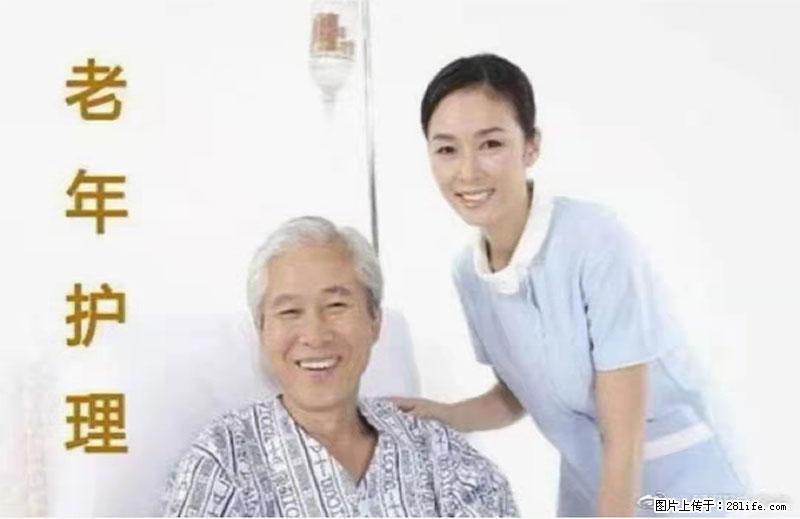 上海国企养老院，星级酒店环境，招聘养老护工 - 职场交流 - 石嘴山生活社区 - 石嘴山28生活网 szs.28life.net