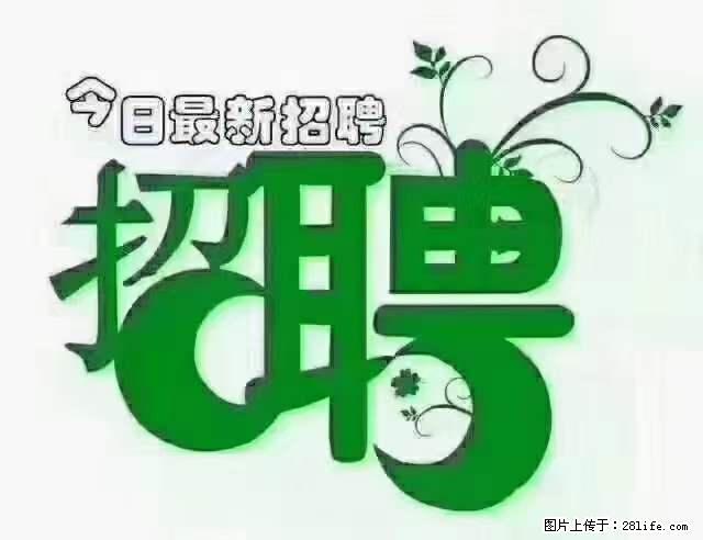 【招聘摄像师】待遇：试用期6000元/月，转正7000元/月+五险一金+餐补+节日福利+奖金 - 职场交流 - 石嘴山生活社区 - 石嘴山28生活网 szs.28life.net