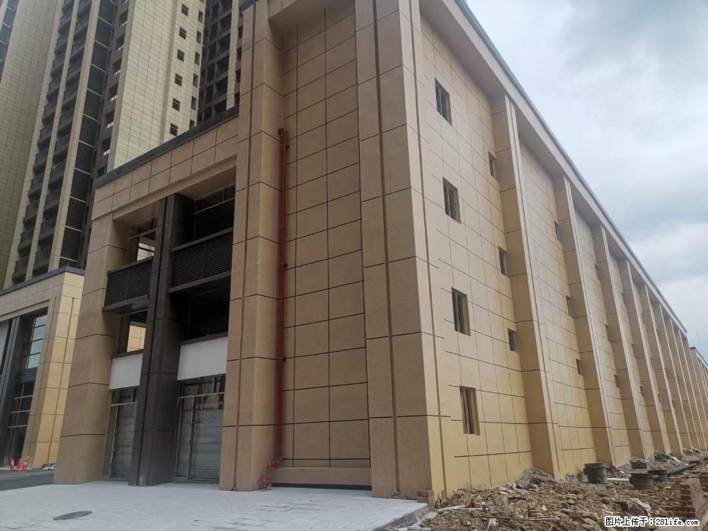 【广西三象建筑安装工程有限公司】外墙涂料工程 - 新手上路 - 石嘴山生活社区 - 石嘴山28生活网 szs.28life.net
