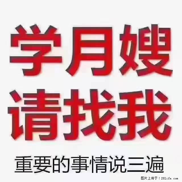 【招聘】月嫂，上海徐汇区 - 职场交流 - 石嘴山生活社区 - 石嘴山28生活网 szs.28life.net