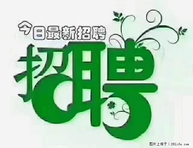上海隔离酒店招人：55岁以下 男女不限 - 职场交流 - 石嘴山生活社区 - 石嘴山28生活网 szs.28life.net