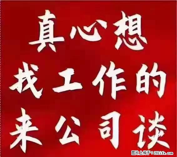 【上海】国企，医院招两名男保安，55岁以下，身高1.7米以上，无犯罪记录不良嗜好 - 职场交流 - 石嘴山生活社区 - 石嘴山28生活网 szs.28life.net