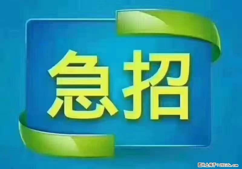 招财务，有会计证的，熟手会计1.1万底薪，上海五险一金，包住，包工作餐，做六休一 - 职场交流 - 石嘴山生活社区 - 石嘴山28生活网 szs.28life.net