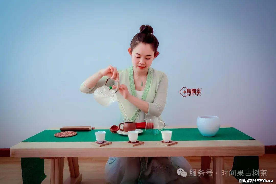 时间果百年古树龙珠普洱生茶 - 购物交流 - 石嘴山生活社区 - 石嘴山28生活网 szs.28life.net