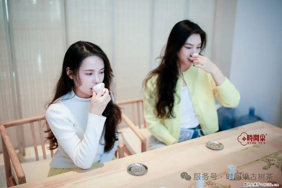 时间果百年古树龙珠普洱生茶 - 购物交流 - 石嘴山生活社区 - 石嘴山28生活网 szs.28life.net