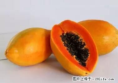 晕车、脚气、牙齿变黄、皮肤粗糙？学会这些三分钟搞定！ - 石嘴山生活资讯 - 石嘴山28生活网 szs.28life.net