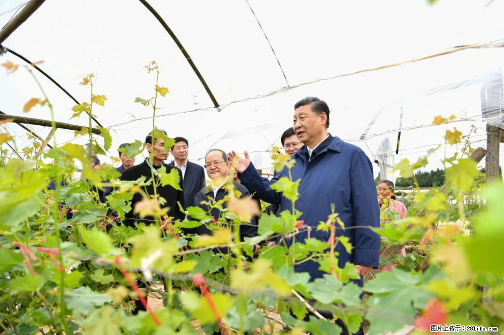 习近平赴广西考察调研 - 石嘴山生活资讯 - 石嘴山28生活网 szs.28life.net