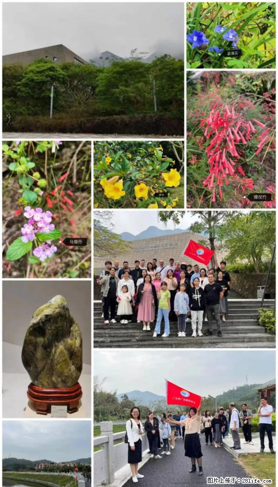 “粤灌文化 美好生活”油茶文化主题活动在广东深圳成功举办 - 石嘴山生活资讯 - 石嘴山28生活网 szs.28life.net