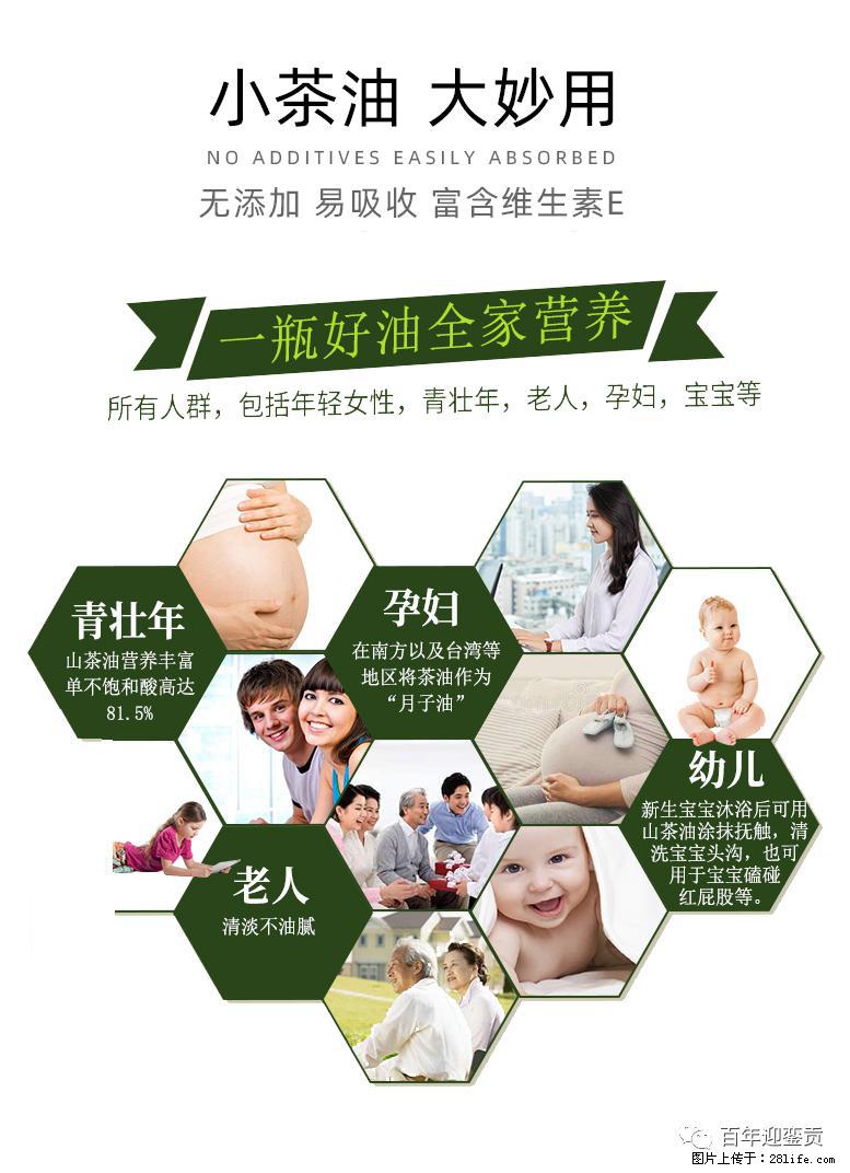 世界没有真相，只有认知，最好的食用油是中国的山茶油！ - 石嘴山生活资讯 - 石嘴山28生活网 szs.28life.net