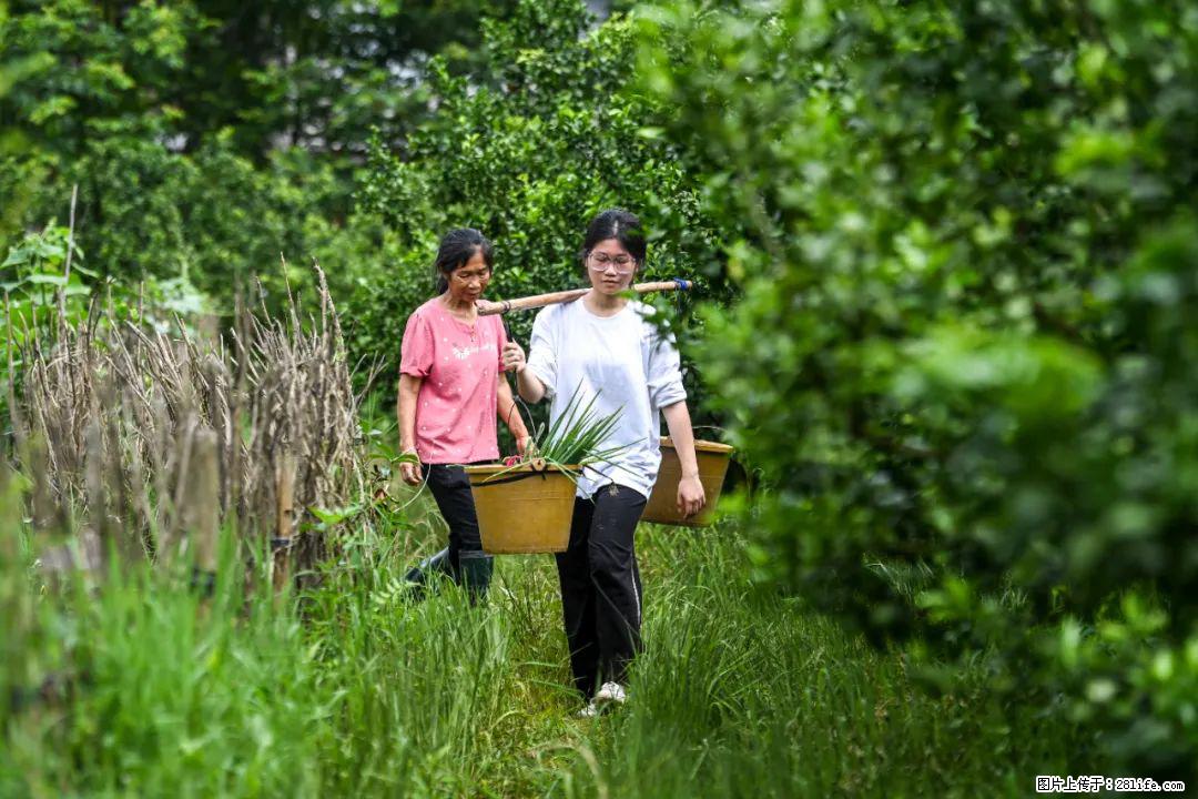 全网追的“扁担女孩”，找了一份暑假工，时薪12元 - 石嘴山生活资讯 - 石嘴山28生活网 szs.28life.net