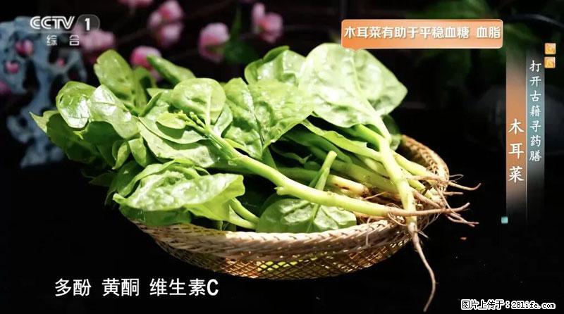 比牛奶补钙还厉害！凉血解毒、稳血糖...这菜冬天必吃，很多人却当草 - 石嘴山生活资讯 - 石嘴山28生活网 szs.28life.net