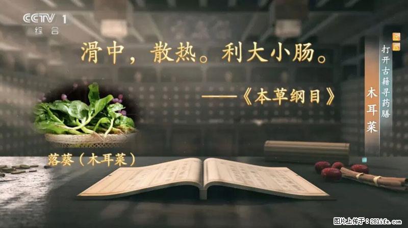 比牛奶补钙还厉害！凉血解毒、稳血糖...这菜冬天必吃，很多人却当草 - 石嘴山生活资讯 - 石嘴山28生活网 szs.28life.net