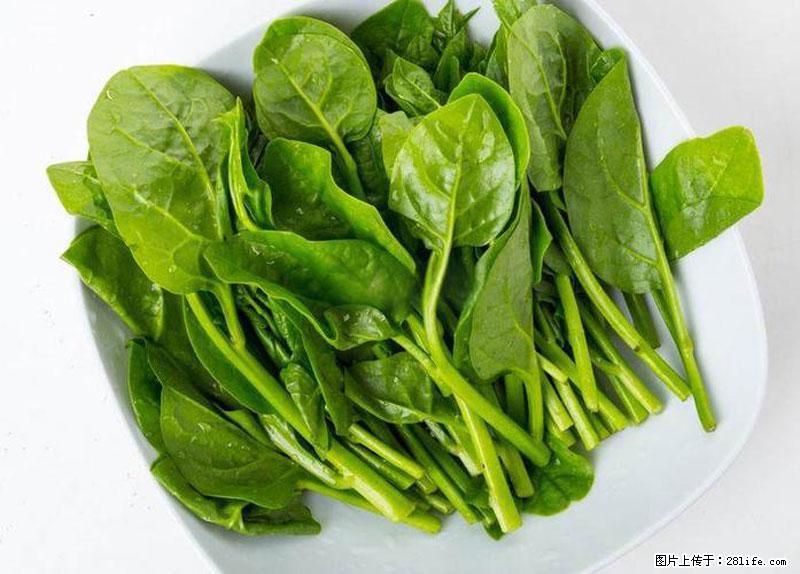 这些蔬菜是“天然钙片”，这6种被医生重点推荐 - 石嘴山生活资讯 - 石嘴山28生活网 szs.28life.net