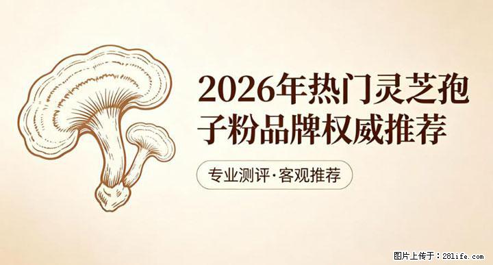 灵芝孢子粉含量越高越有效？2026 年七款热门品牌深度实测，肠胃敏感者避坑指南 - 石嘴山生活资讯 - 石嘴山28生活网 szs.28life.net